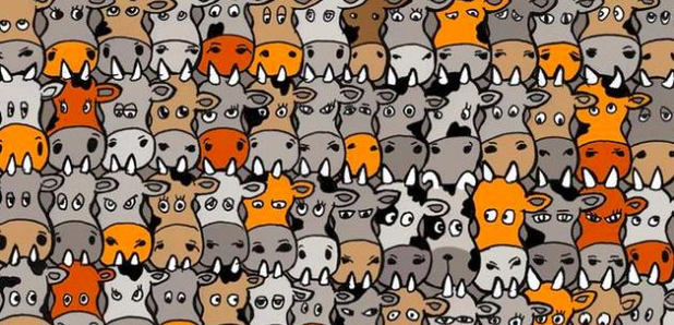 Spot the dog